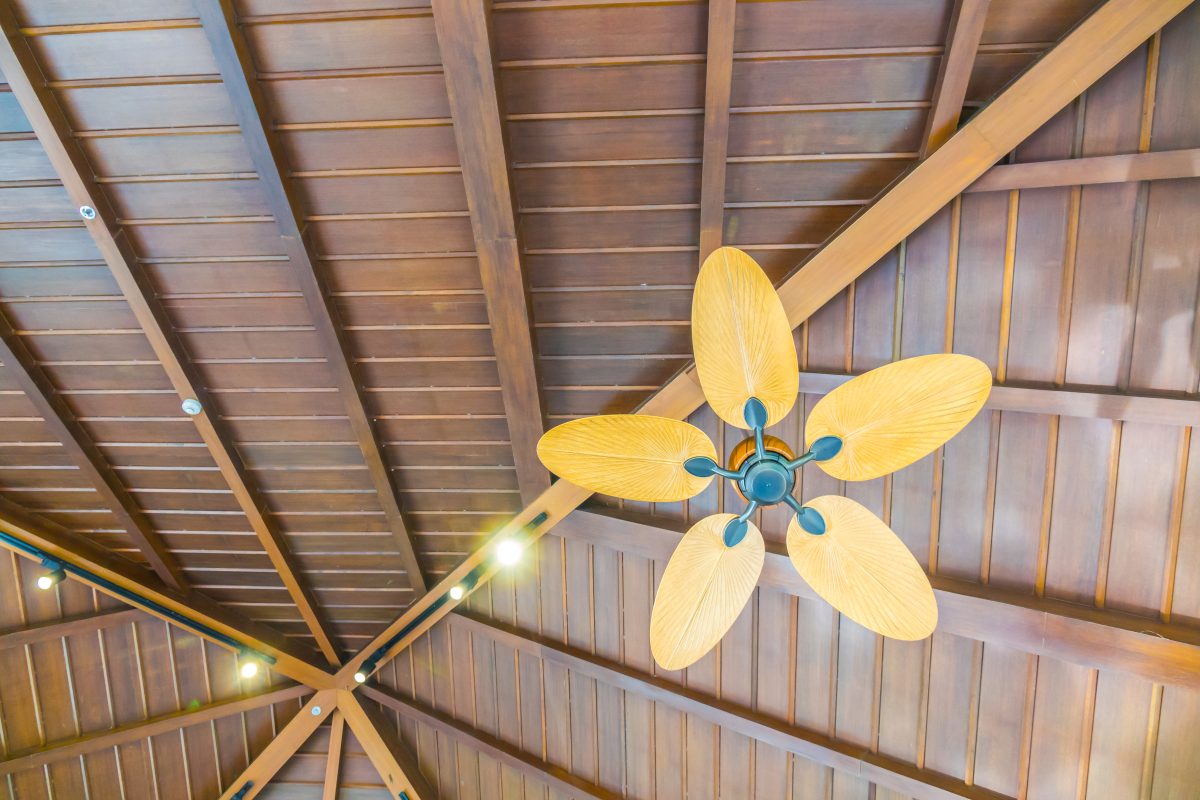 Decorative ceiling fan installation by Sunshine Coast electrician